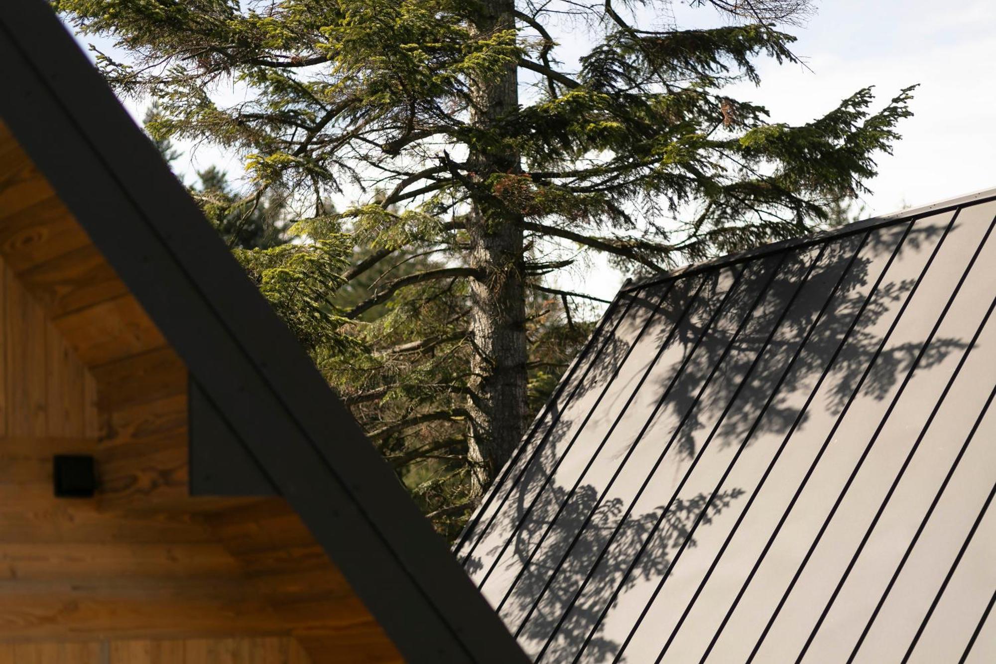 The Sopa - Heritage Premium * Zakopane