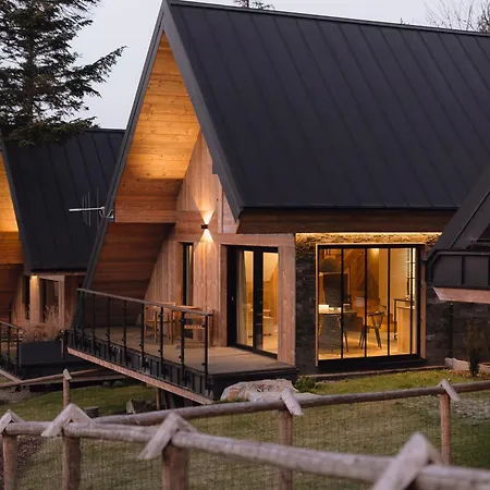 The Sopa - Heritage Premium Houses Zakopane Exterior photo