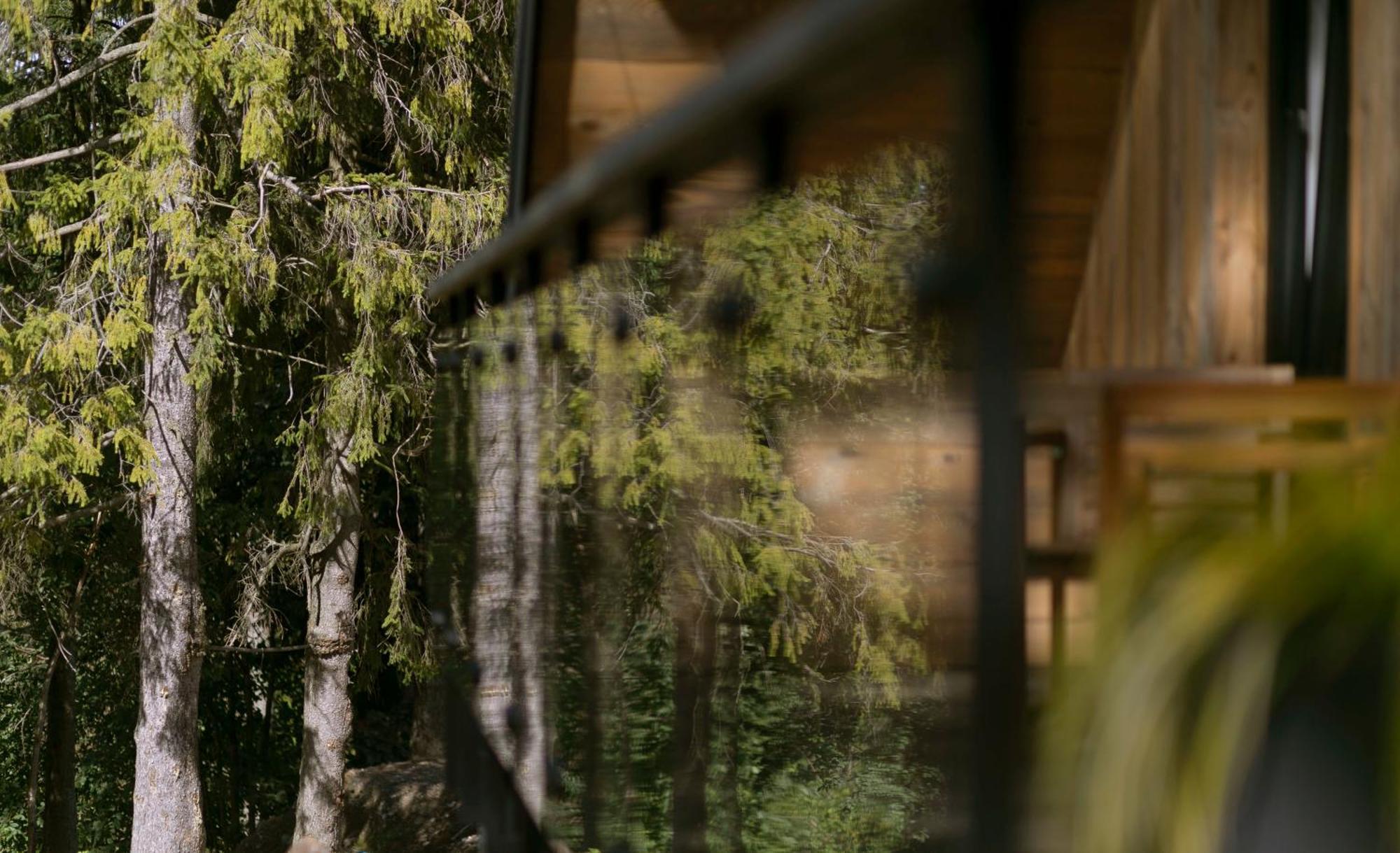 Chalet The Sopa - Heritage Premium Zakopane